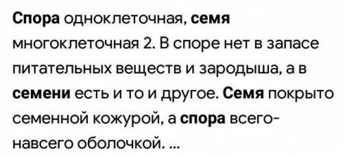 Семя в отличие от споры. Отличие споры от семени. Отличие спор от семян. Что такое семя чем семя отличается от споры. Семя и спора отличия.