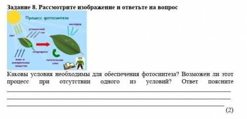 Рассмотрите рисунок 45 и ответьте на вопросы. Рассмотрите изображение и ответьте на вопрос. Рассмотрите фотографии и ответьте на вопросы. Рассмотрите изображение ответьте на вопросы и выполните. Рассмотрите изображение устиц ответь на вопросы.