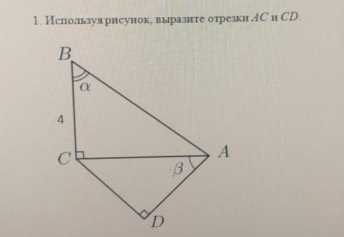 Отрезок bm. Используя рисунок. Используя рисунок 71. Используя рисунок 18. По данным рисункам выразите.