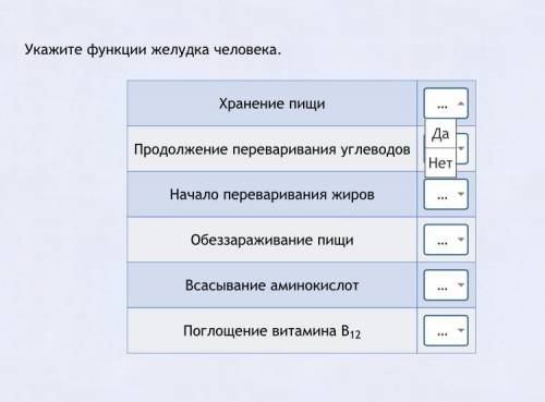 Укажите функции каждого. Укажите функции документа. Укажите функции весов. Укажите функции Лида.