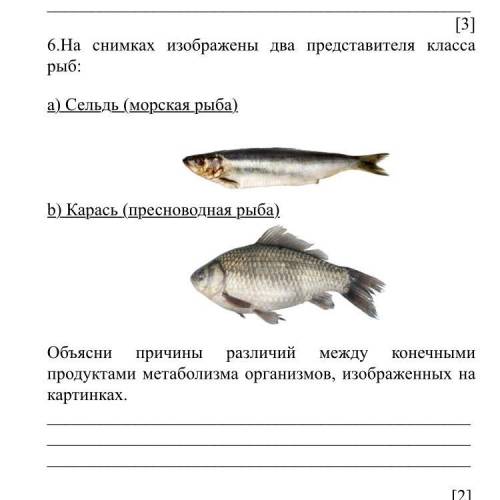 Русский 8 класс рыб
