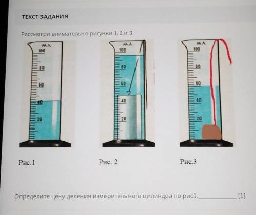 Рассмотрите внимательно рисунки 112 и 116 и сравните продолжительность жизни