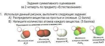 Суммативное оценивание 2. Распределение вещества по четвертям.