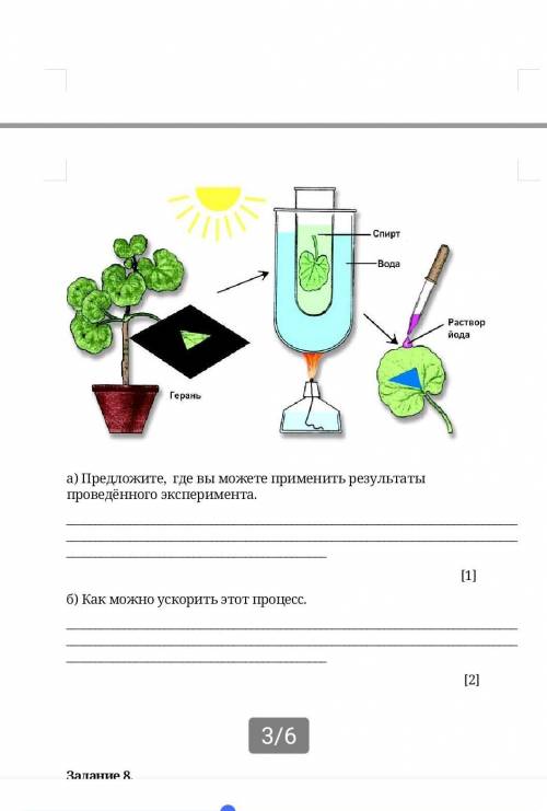 Результат проведенного эксперимента. Как провести опыт на ОГЭ. Что такое протокол биологического эксперимента. Программа для проведения опытов по биологии. Результат проведённых опытов.