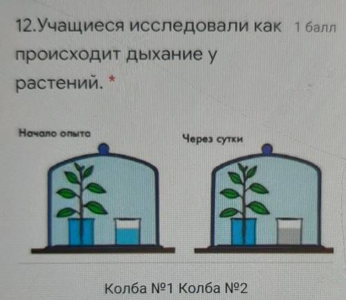 В какое время суток происходит дыхание растения. Как происходит обесфториваниемводы.