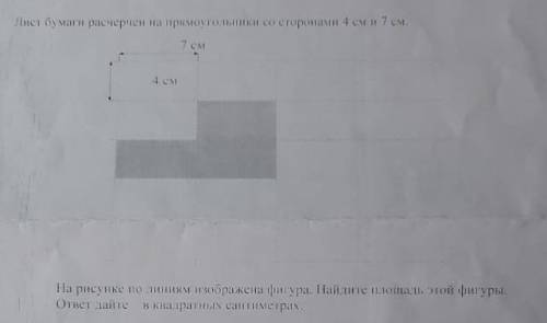 Лист бумаги расчерчен со стороной