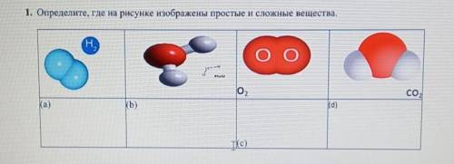 Сколько веществ изображено на рисунке