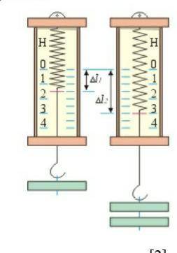 Жесткость пружины динамометра изображенного на рисунке равна. Удлинение пружины динамометра. Динамометр Гука. Закон Гука. Растяжение пружины обозначение физика.