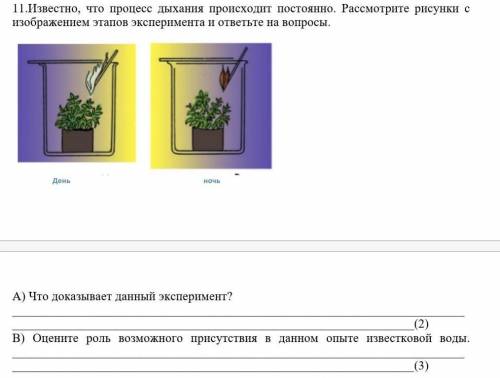 В изображенном на рисунке опыте тюльпан из холодного помещения переносят в более теплое