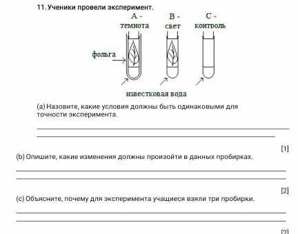 Ученики ученые провели эксперимент с растениями изучи схему эксперимента и ответь на вопросы