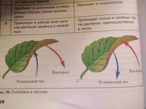 Укажите процесс указанный на рисунке. Определите какой процесс показан на рисунке. Какой процесс показан на изображении?. Определите процессы, представленные на рисунках.. Какой процесс показан на рисунке биология.