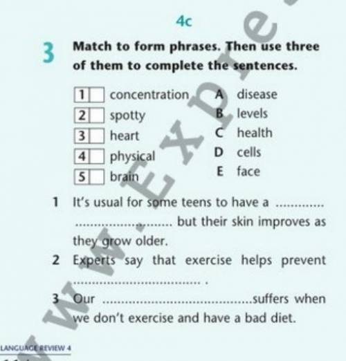 Match the phrases to form complete. Английский 6 класс 5 модуль form phrases.