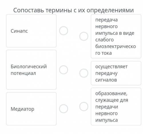 Сопоставь термины. Сопоставить определение и понятие. Сопоставить понятие с дефиницией. Сопоставьте понятия с их определениями. Сопоставь термины и их определения.