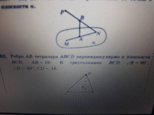 Найдите 4 верных утверждения..