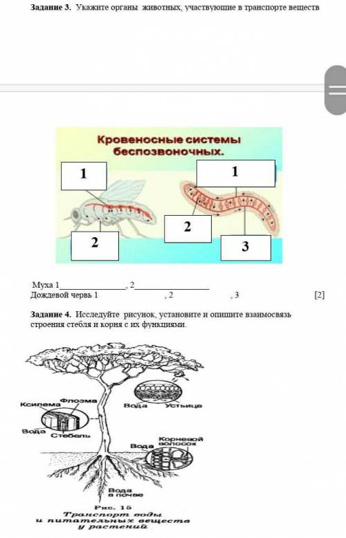 Укажите соответствие между видом транспорта веществ. Органы животных участвующие в транспорте. Органы задействованы в транспорте веществ у животных. Транспорт веществ участвующие органы. Транспорт веществ к органам животных.