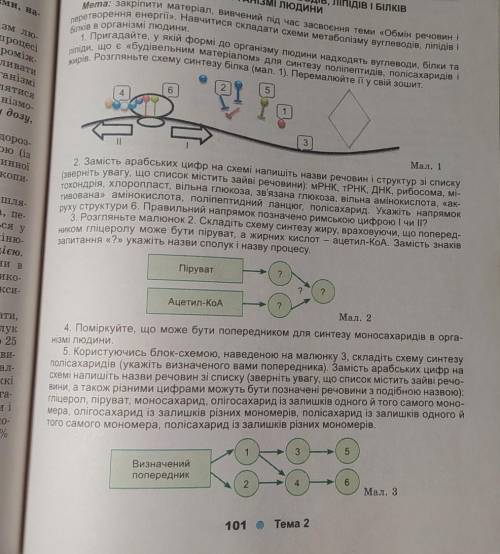 Практическая по биологии 11 класс