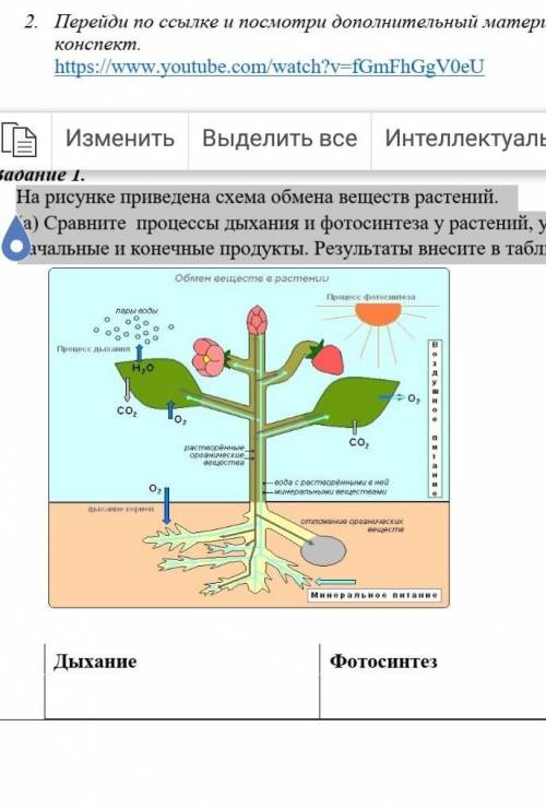 Обмен веществ минеральное питание. Схема обмена веществ у растений 6 класс. Схема фотосинтеза и дыхания. Процесс дыхания растений. Схема процесса дыхания растения.