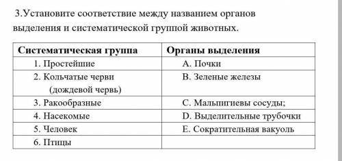 Нужный соответствие. Таблица систематические группы и органы выд. Группа животных органы выделения. Установите соответствие между животными и их органами выделения. Систематическая группа название выделительных органов систем.