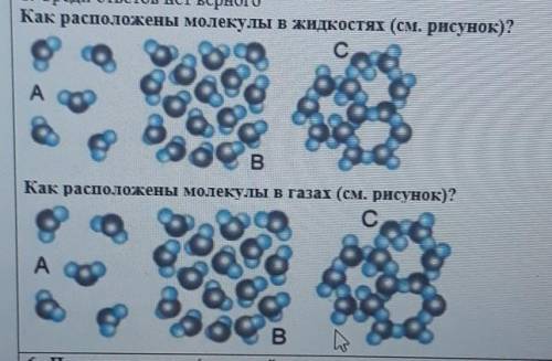 Расположите молекулы. Как расположены молекулы в жидкостях. Как расположены частицы газа. Как расположены молекулы в жидкостях см рисунок. Как расположены молекулы в газах.