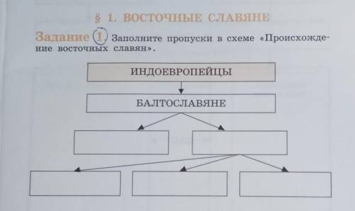 Заполните пропуски в схеме основные положения