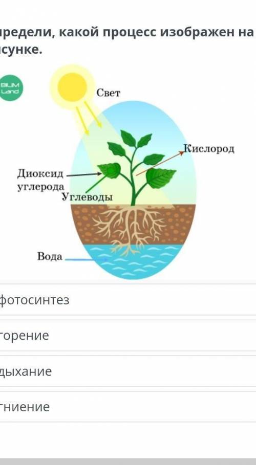 Какой процесс показан на рисунке