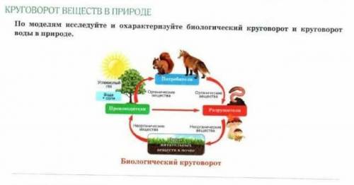 В круговороте веществ растения выполняют роль. Круговорот веществ и энергии в географической оболочке. Круговорот жизни в природе модель из пластилина. Круговорот веществ в природе кроссворд.