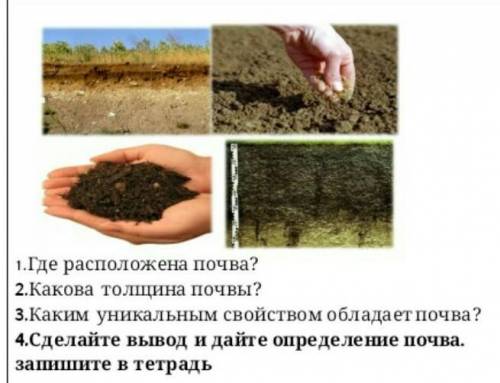 Как понять какая почва. Где находится почва. Толщина почвы. Грунт где находится.