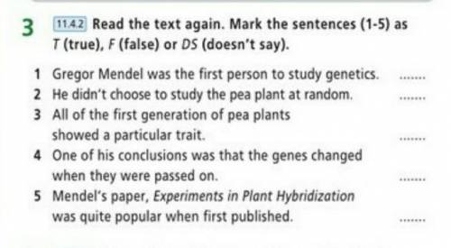 Read the text then mark the sentences. Mark the sentences as true or false. Task 2 Mark the sentences 1-10 t (true) or DS (doesn't say). Ответы. Say true (t) or false (f)ответы. Read again and Mark the sentences t true f false or DS doesn't 5 класс стр 27.
