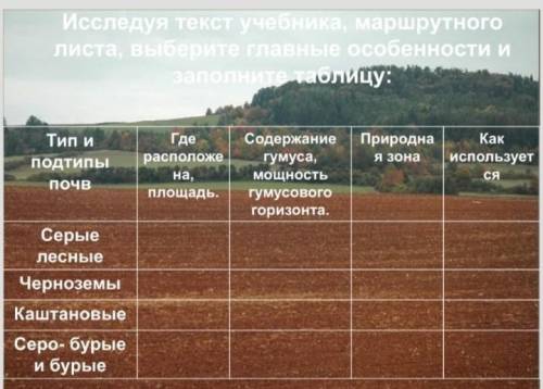 Серые бурые лесные почвы природная зона. Подтипы почв таблица. Типы почв России таблица. Типы почв содержание гумуса. Типы и подтипы почв.