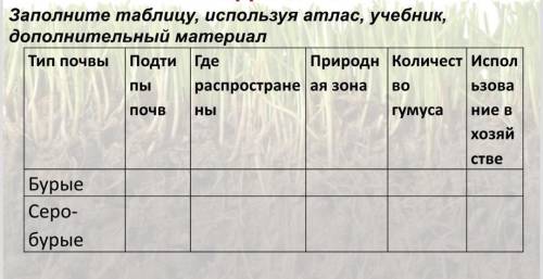 Заполнить таблицу почвенная среда. Почвы Казахстана в таблице.