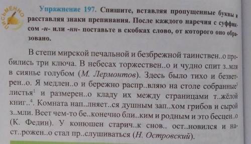 Спиши вставь слова в скобках. Спишите вставляя пропущенные буквы н или НН. Спишите вставляя пропущенные буквы с наречиями. Спишите вставляя пропущенные буквы Чайка. Н или НН спишите расставляя пропущенные запятые.