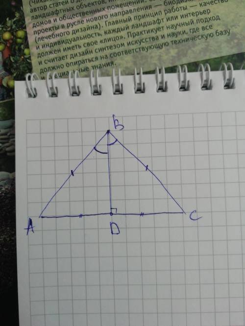 В равнобедренном треугольнике abc основание ac 28