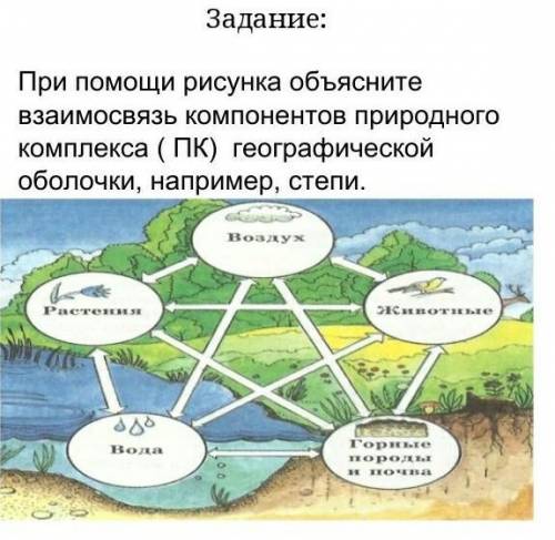 Составьте схему взаимосвязей между компонентами природного комплекса