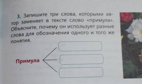 Запиши 3 слова. 1. Запиши по три слова к моделям.. Запиши по три слова к моделям 2 класс. Запиши по 3 слова к моделям ответы. Синонимы к слову примул.