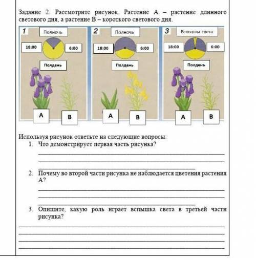 В левой и правой части рисунка размещены два класса объектов выберите правильный ответ