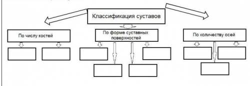 Дополните схему классификации йогуртов по основному сырью по наполнителю