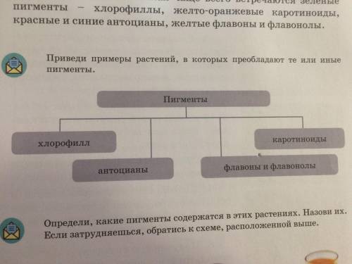 Используя текст учебника дополните схему