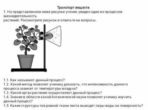 На представленной ниже фотографии зафиксирован один из процессов жизнедеятельности растений