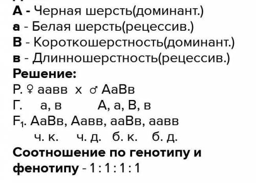 У свиней черная окраска щетины доминирует над рыжей длинная щетина над короткой составьте схему