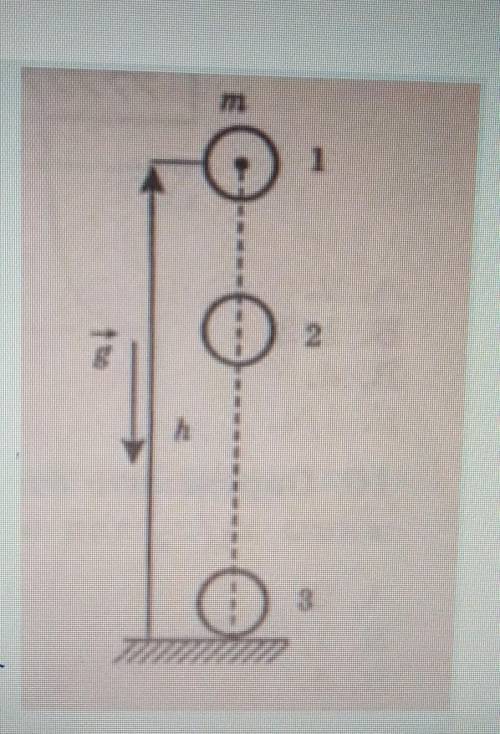 На высоте h над землей. Тело массой м находится на высоте h над поверхностью земли. Тело свободно падает вниз что можно сказать о его энергии. Вариант 10 физика тело опускается. Тело массой 126 г находится на высоте 9 м над поверхностью земли.