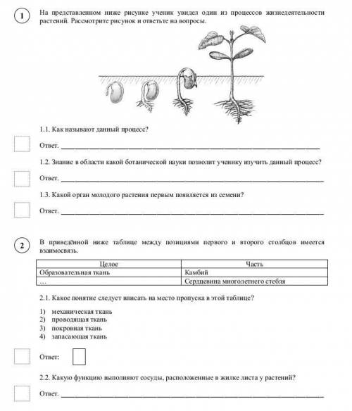 Рассмотрите рисунки 1 2 с изображением процессов жизнедеятельности растения как