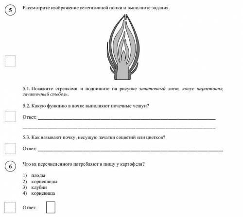 Впр биология 6 класс линейная программа 2023. Биология ВПР знаки. ВПР биология 6 класс. Знаки по биологии ВПР 5. ВПР 6 класс биология агротехнический прием.