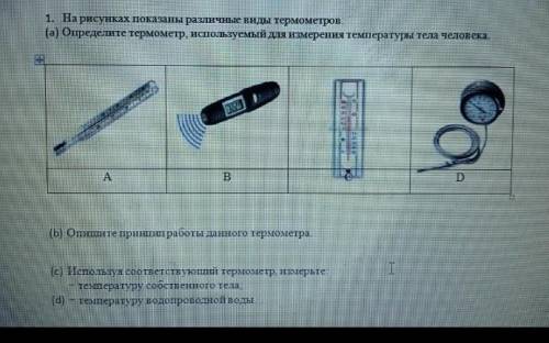 Измерение температуры 5 класс естествознание. Естествознание 5 класс как измерить тело. Определение размеров тела 6 класс Естествознание. Пищевая безопасность практическая работа 5 класс Естествознание.