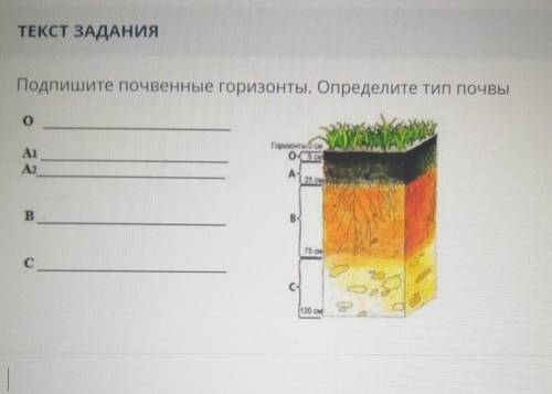 Изъятие образцов из почвенных горизонтов делается снизу вверх