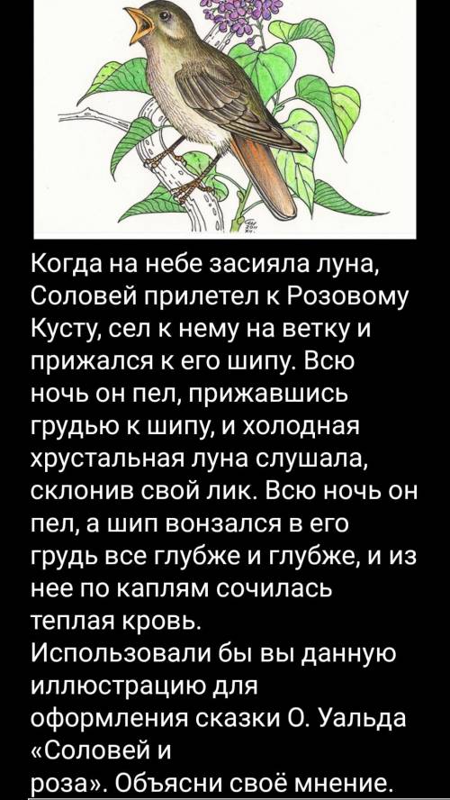 Рассмотрите внимательно иллюстрацию. Соловьи по литературе с ответами. Проблемы в сказке Соловей и роза. Уайльд Соловей и роза читательский дневник. Гипотеза сказки Соловей и роза.