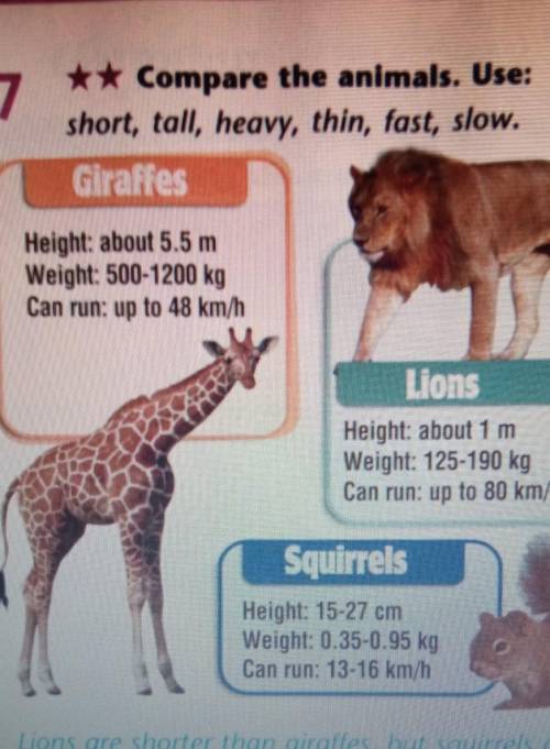 Giraffes are tall than elephants. Slow Giraffe. Cows have got bodies than Giraffes. Why Elephant are more popular than Giraffes.