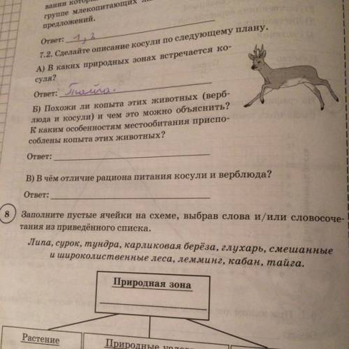 Сделайте описание косули по следующему плану в сравнении с верблюдом крупнее мельче