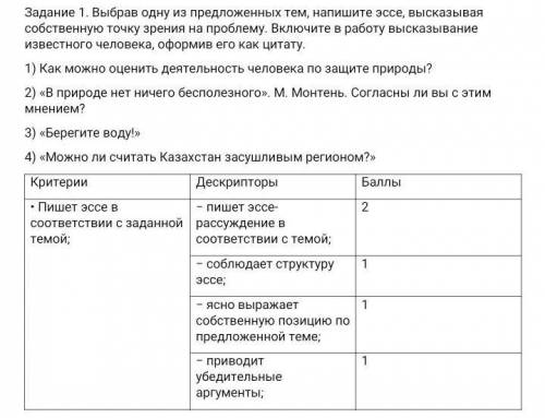 Сор по русскому языку 11 класс