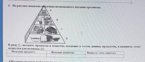 На рисунке изображена пирамида