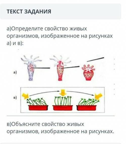 Как называется свойство живых организмов изображенное на рисунке ответ